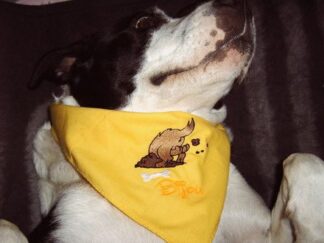 hundehalstuch mit namen und motiv in gelb von stickfinchen
