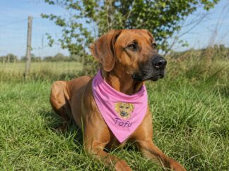 Hundehalstuch mit Namen und motiv in rosa bestickt von stickfinchen