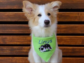 Hund trägt Halstuch mit Namen und Motiv bestickt - handgemacht von Stickfinchen