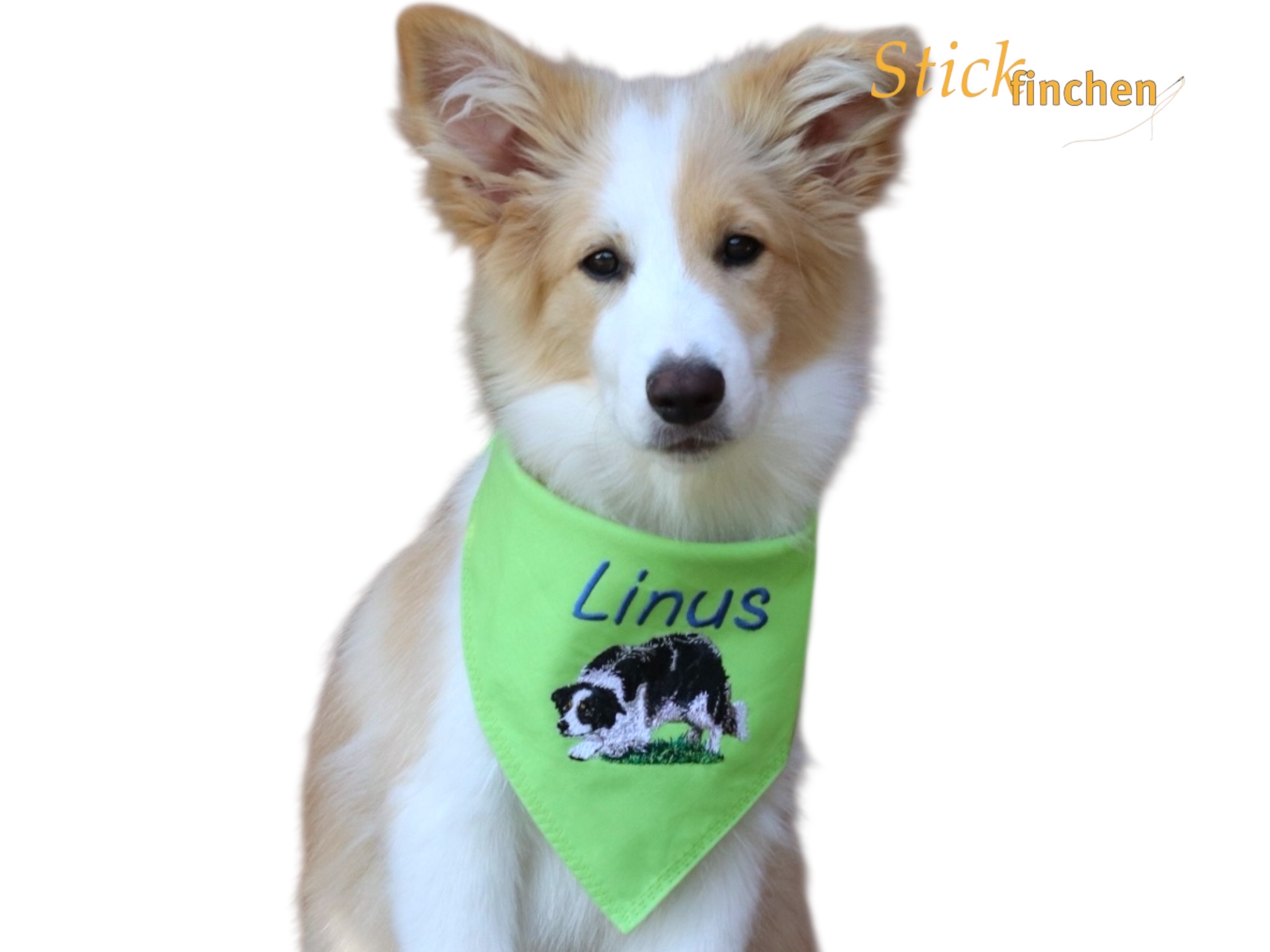 Hund trägt Halstuch mit Namen und Motiv bestickt - handgemacht von Stickfinchen