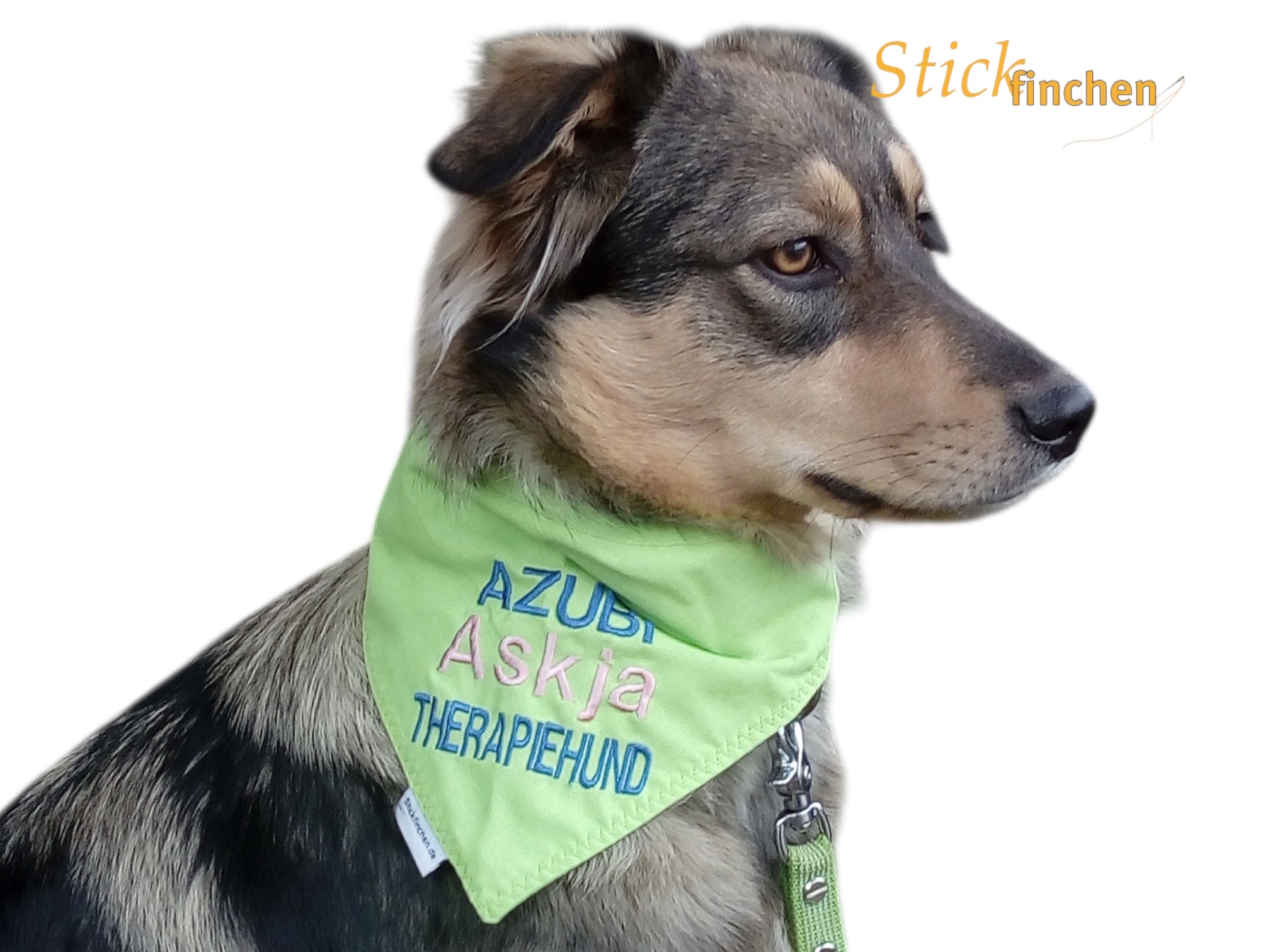 Hund trägt Halstuch mit Namen und Motiv bestickt - handgemacht von Stickfinchen