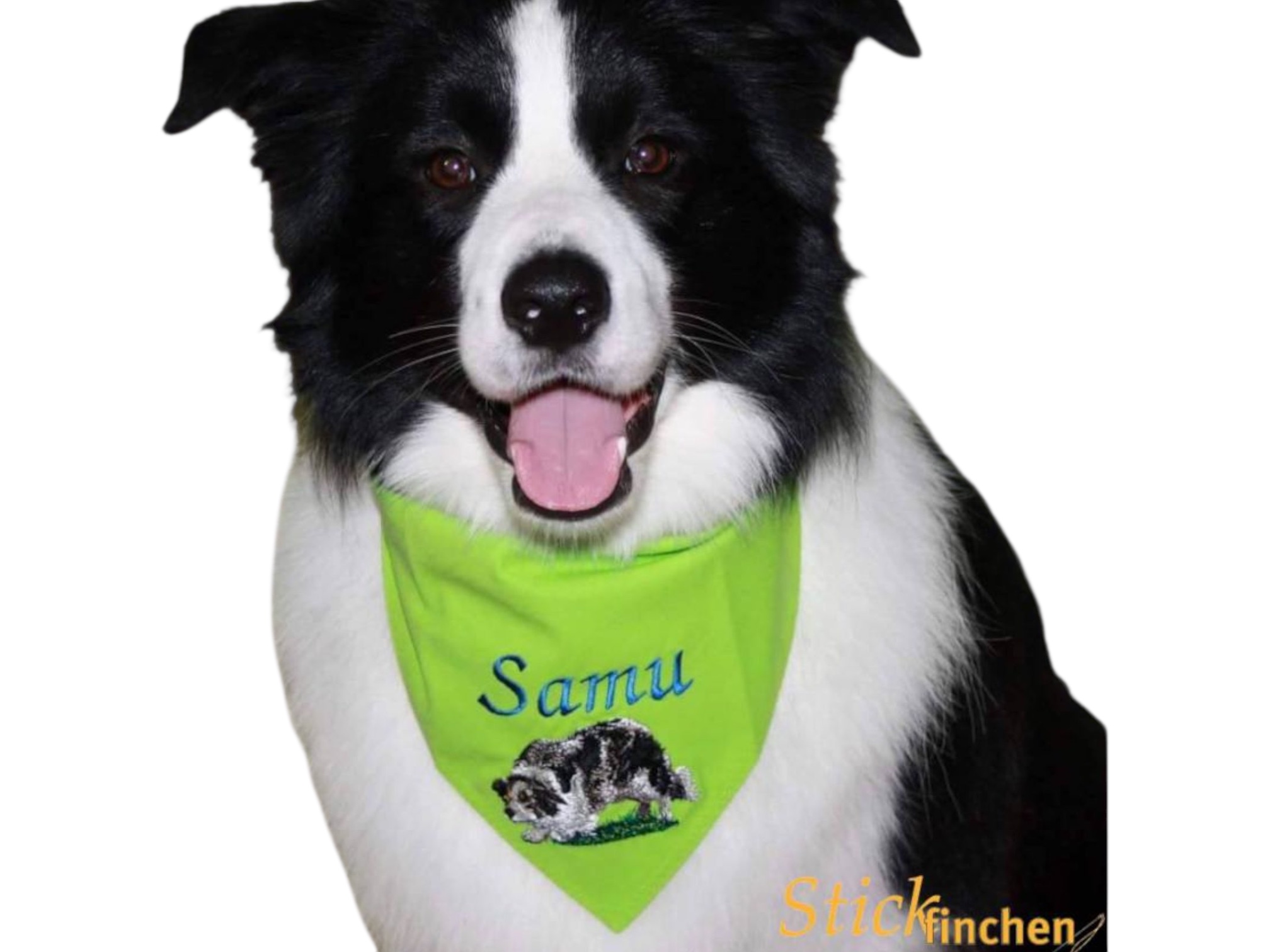 Hundehalstuch kiwi mit Namen und Motiv bestickt von Stickfinchen