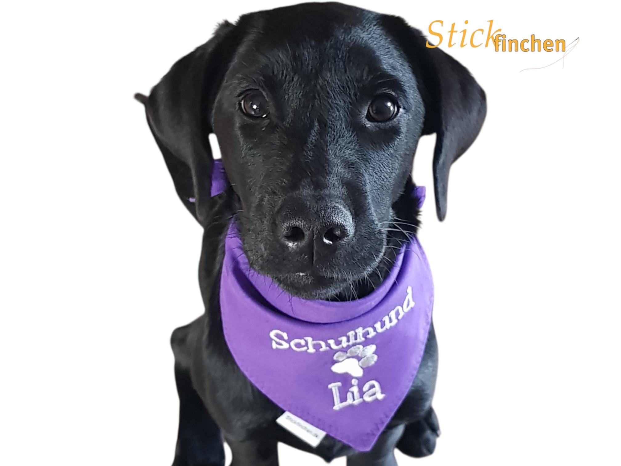 Hund trägt Halstuch mit Namen und Motiv bestickt - handgemacht von Stickfinchen