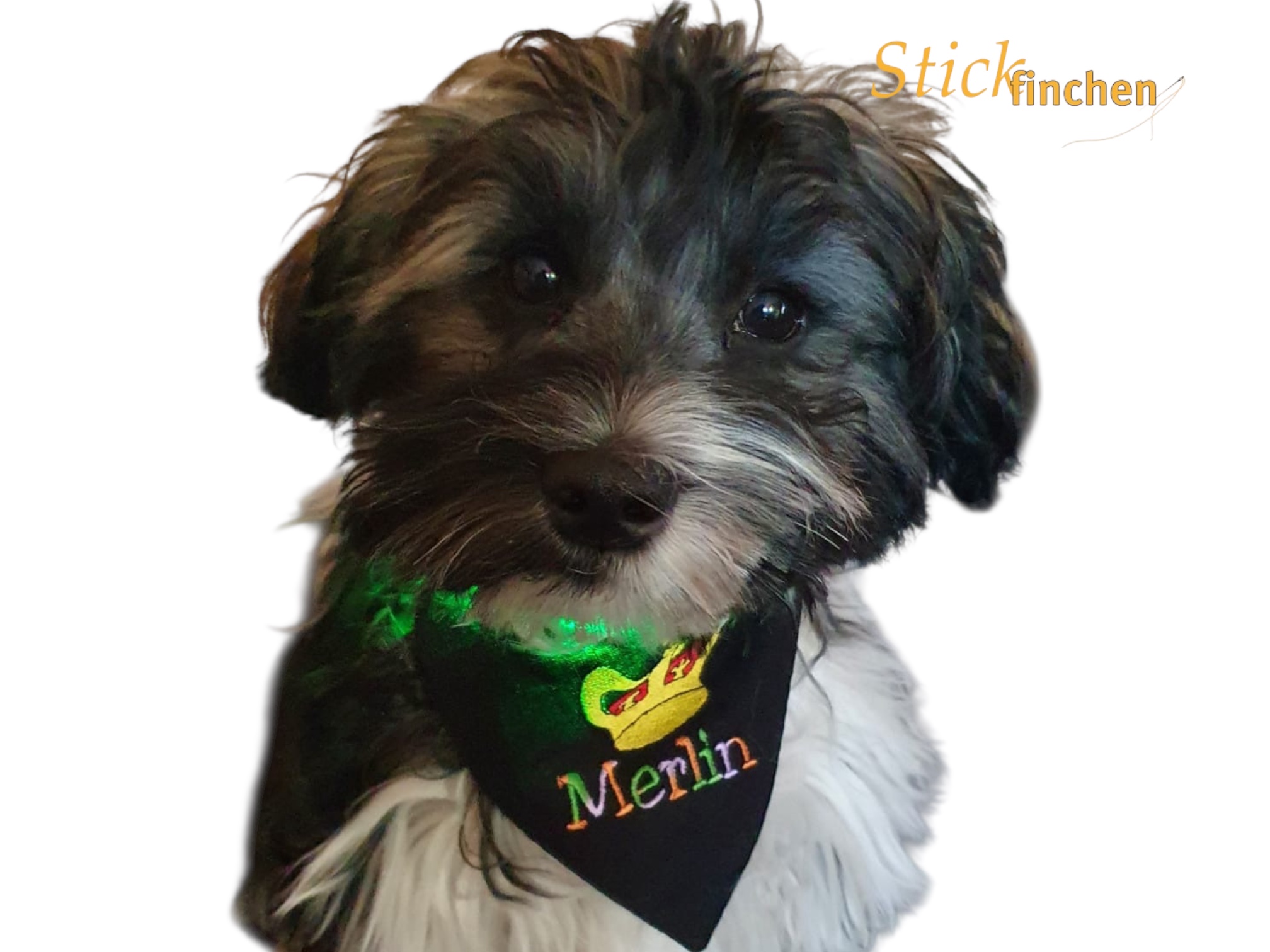 Hundehalstuch mit Namen und Motiv bestickt - handgemacht von Stickfinchen
