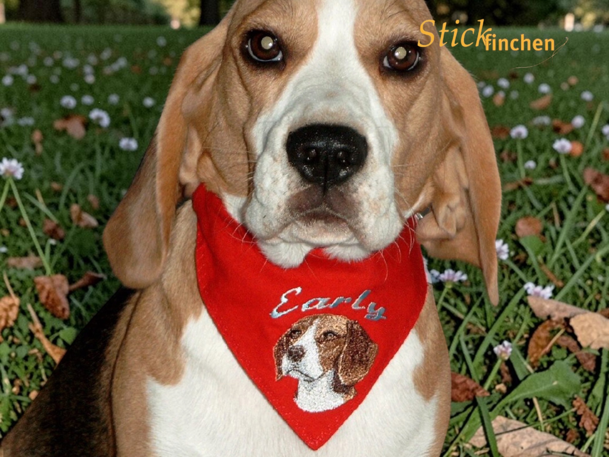 personalisiertes hundehalstuch mit namen bestickt von Stickfinchen in rot