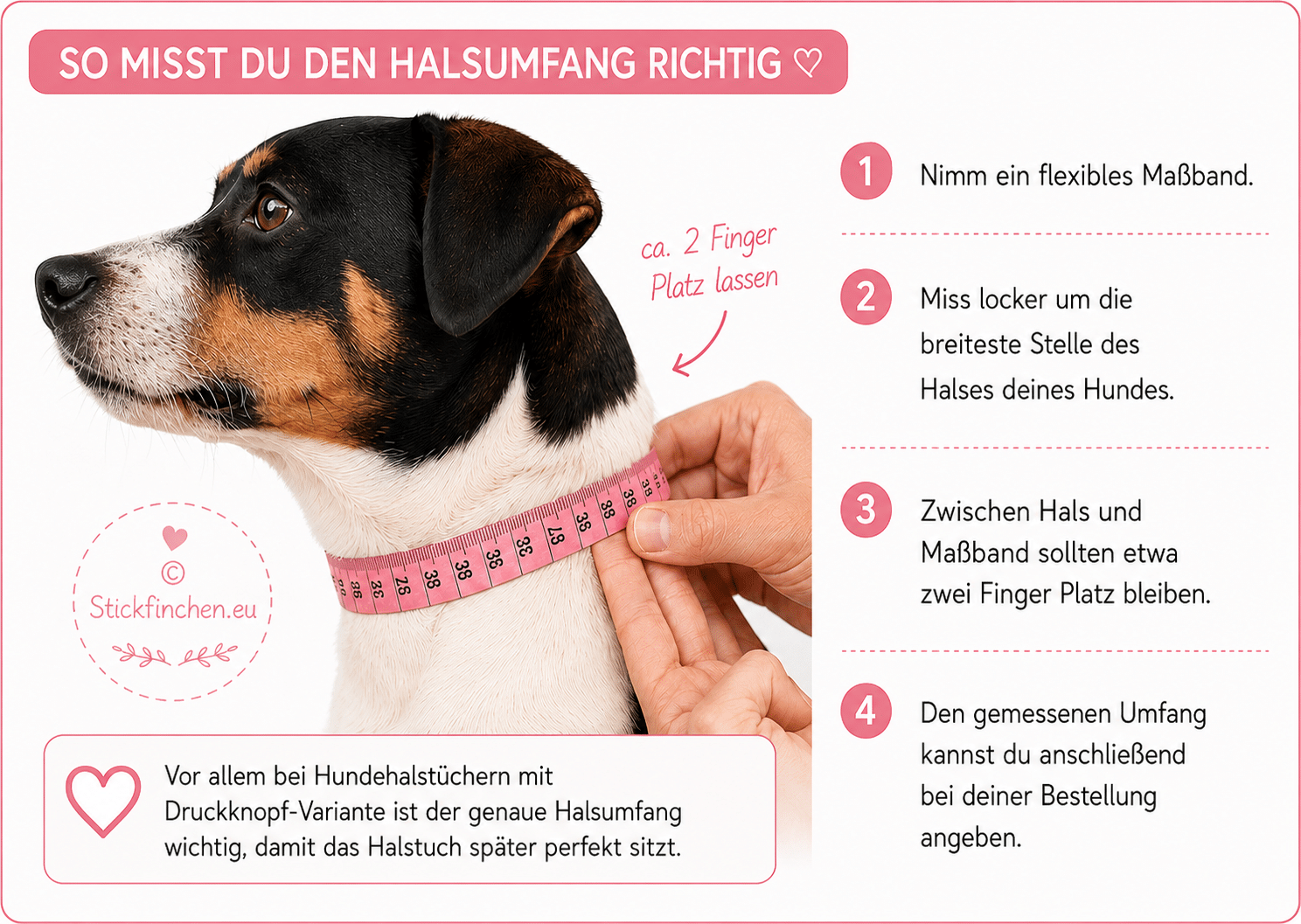 Halsumfang beim Hund richtig messen für ein Hundehalstuch