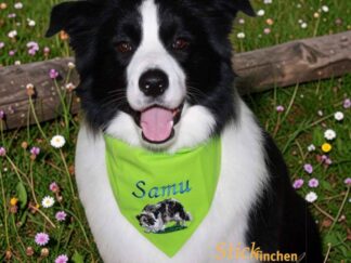 personalisiertes hundehalstuch mit namen bestickt von Stickfinchen in kiwi