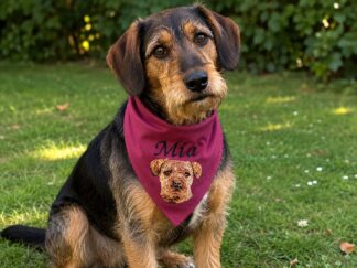 Young dog with a maroon bandana reading 'Mia' and a dog face embroidery, sitting on grass outdoors.