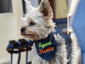 hundehalstuch mit namen bestickt in marine von stickfinchen