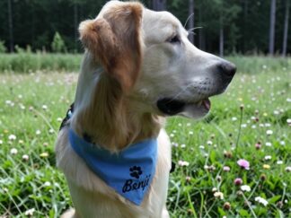 hundehalstuch mit namen und motiv bestickt hellblau von stickfinchen