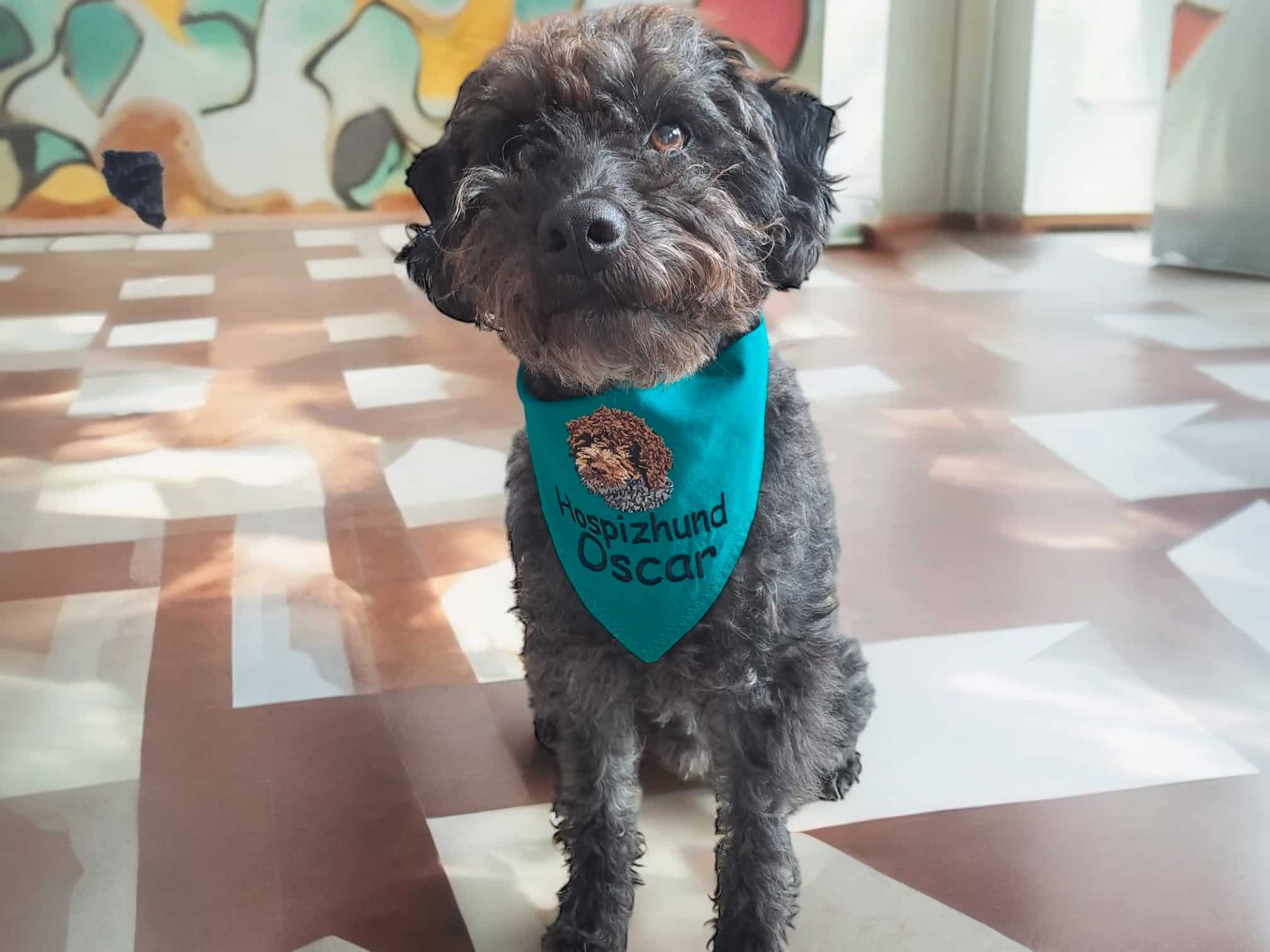 Hundehalstuch mit Namen für Oscar