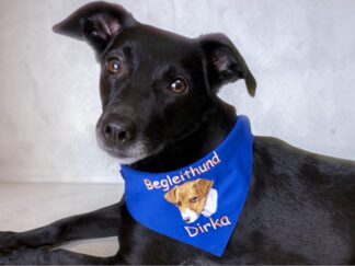 hundehalstuch royalblau mit namen und motiv bestickt von stickfinchen