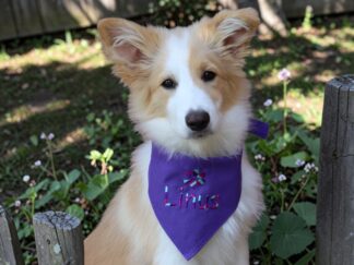 hundehalstuch lila mit namen und motiv bestickt von stickfinchen