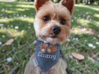 hundehalstuch mit namen und motiv bestickt in grau von Stickfinchen