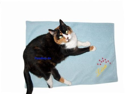 Lisa, unsere dreifarbige Glückskatze