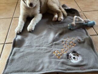 Welpe liegt auf einer Premium Hundedecke aus 100% Baumwolle mit Namen und Motiv bestickt