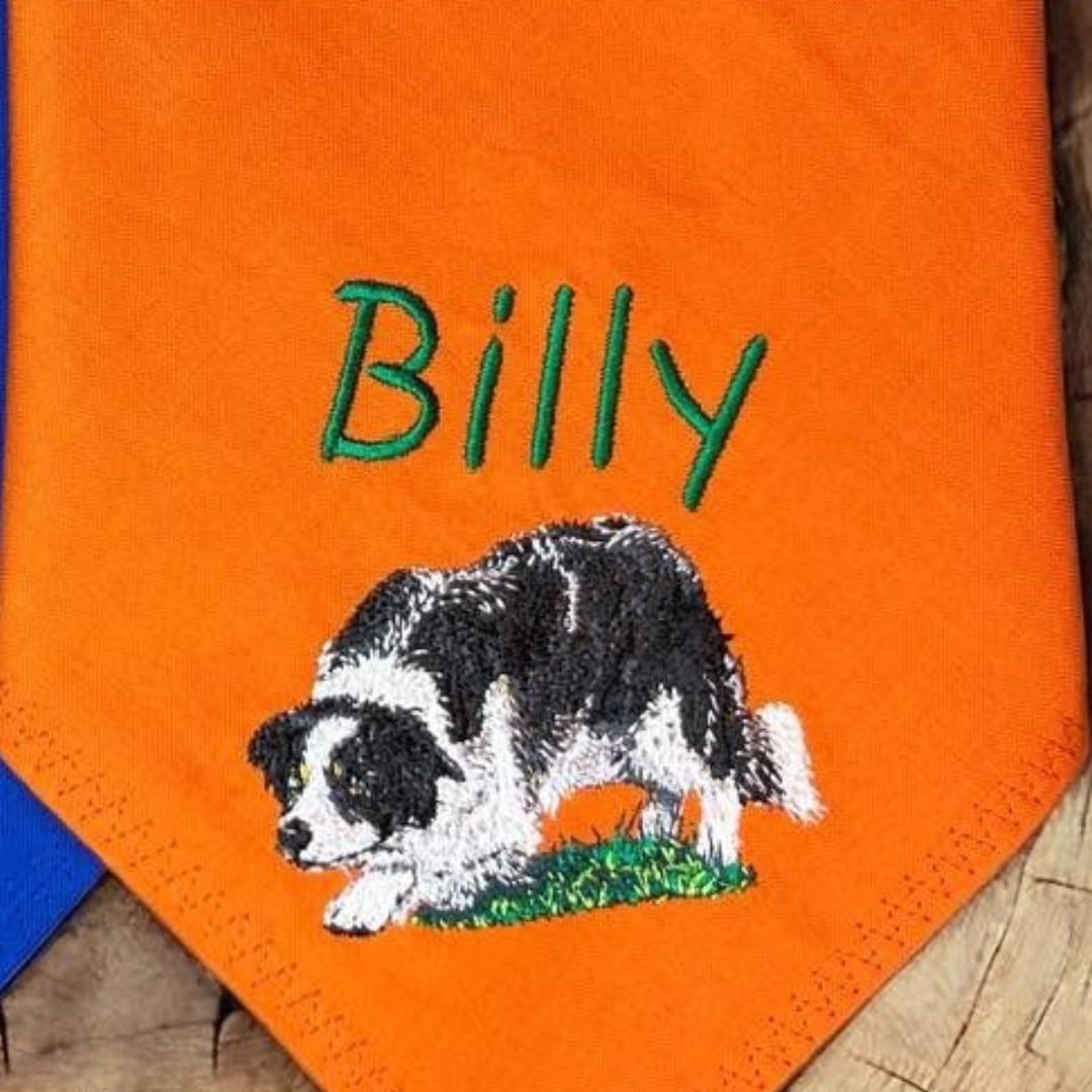 Detailaufnahme eines bestickten Hundehalstuchs